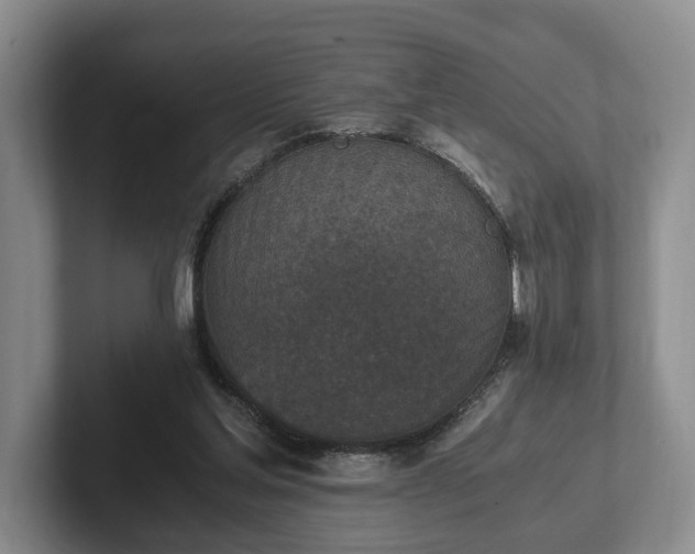 X0000102390205200808081234