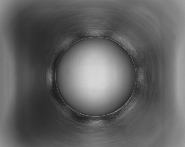 X0000102390206200808081234