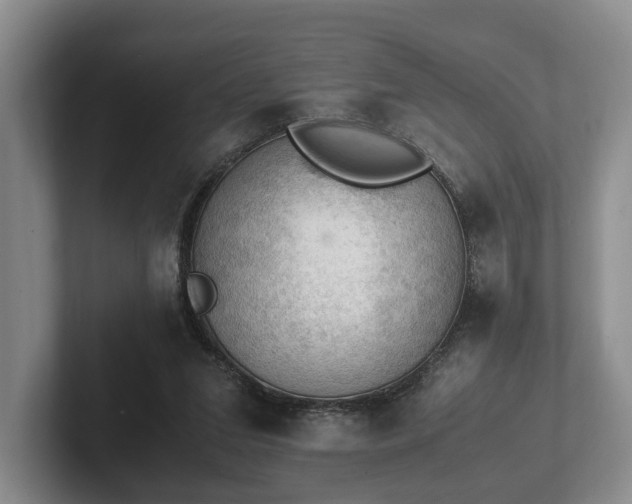 X0000102390207200808081234