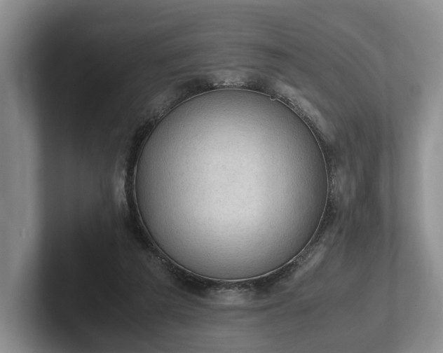 X0000102390209200808081234