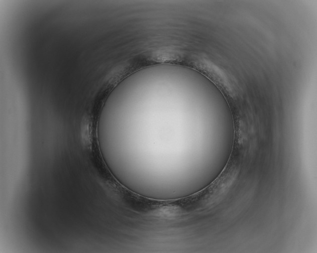 X0000102390210200808081234