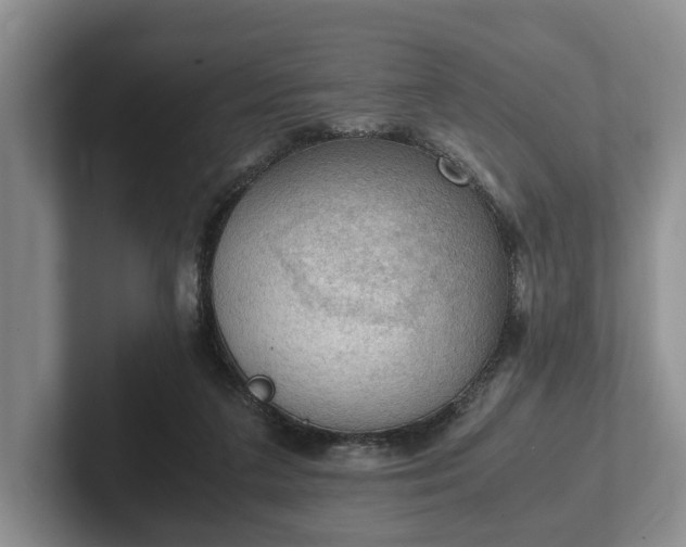 X0000102390211200808081234