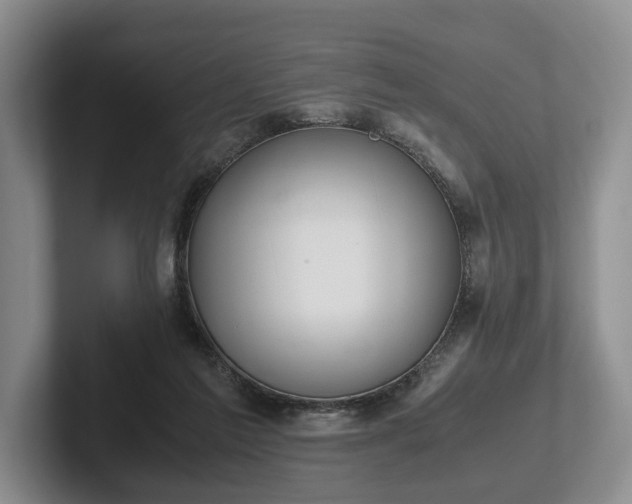 X0000102390213200808081234