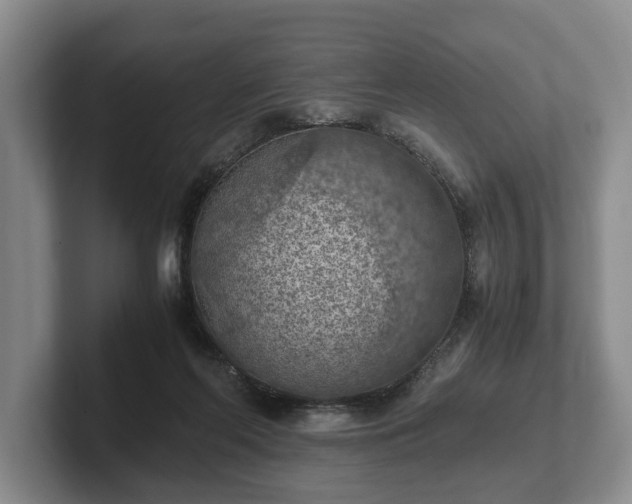 X0000102390214200808081234