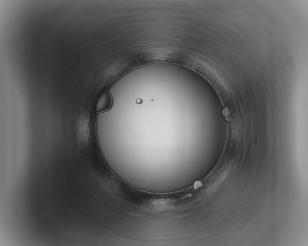 X0000102390216200808081234