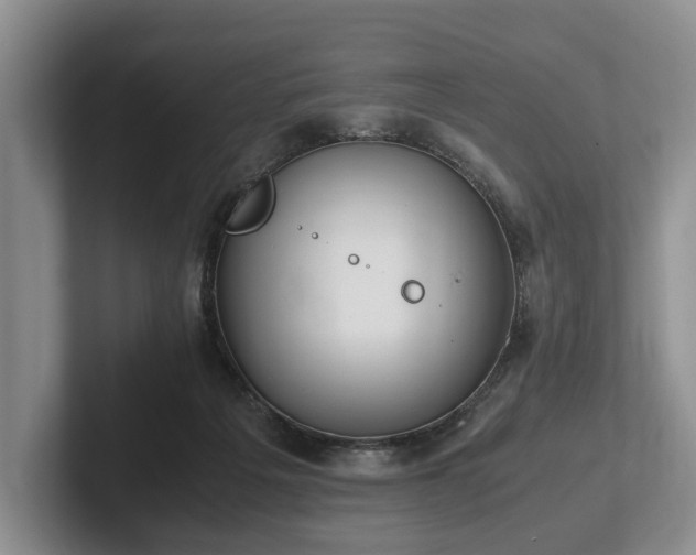 X0000102390217200808081234