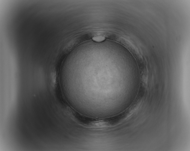 X0000102390219200808081234