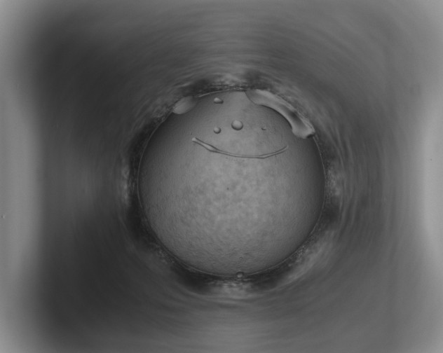 X0000102390223200808081234