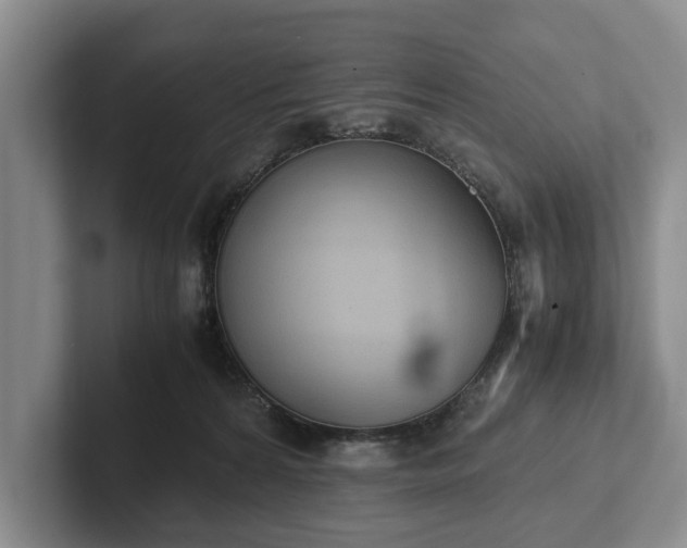 X0000102390224200808081234