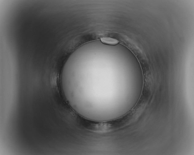 X0000102390225200808081234