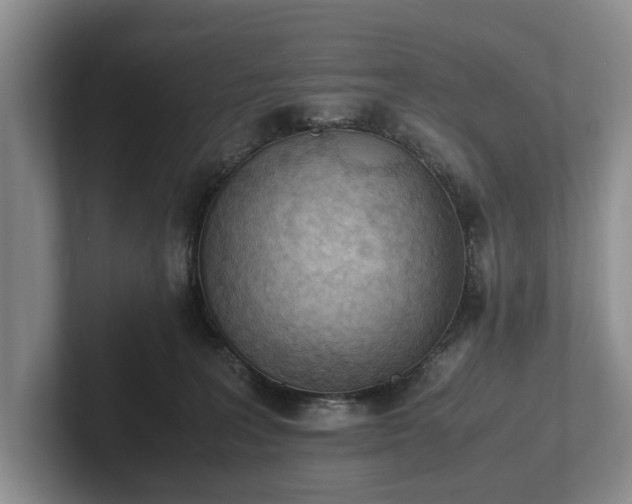 X0000102390227200808081234