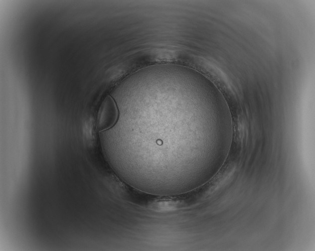 X0000102390228200808081234