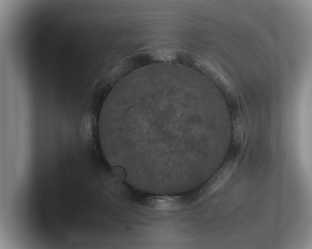 X0000102390229200808081234