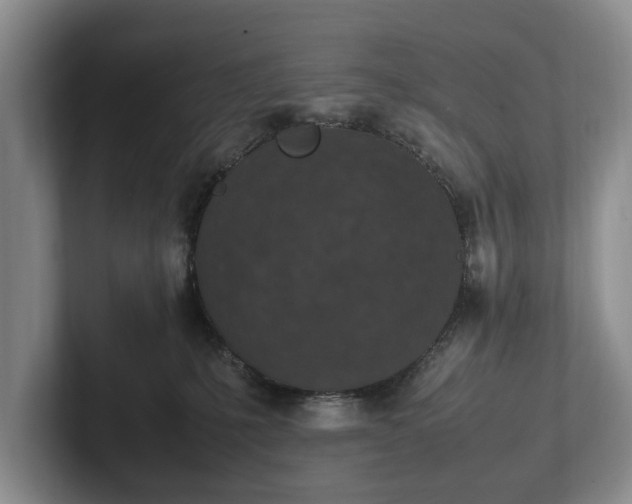 X0000102390231200808081234