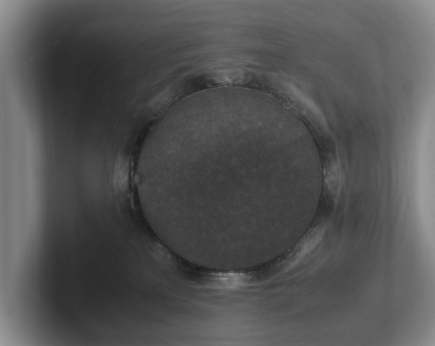 X0000102390233200808081234