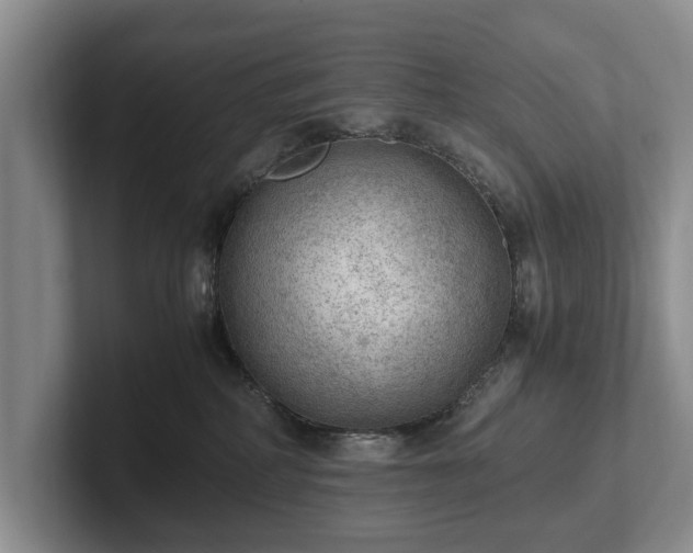 X0000102390234200808081234