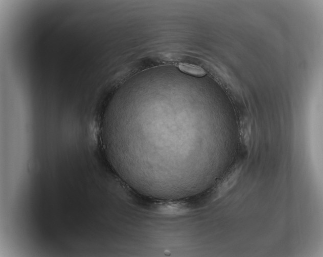 X0000102390235200808081234