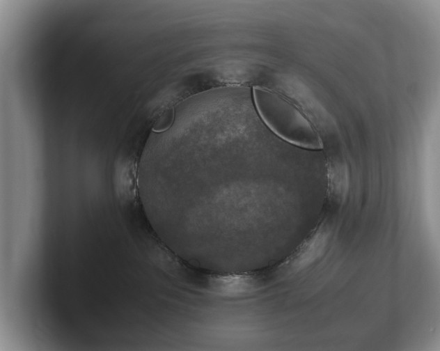 X0000102390237200808081234