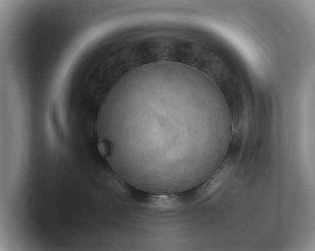 X0000102390239200808081234