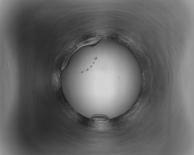 X0000102390240200808081234