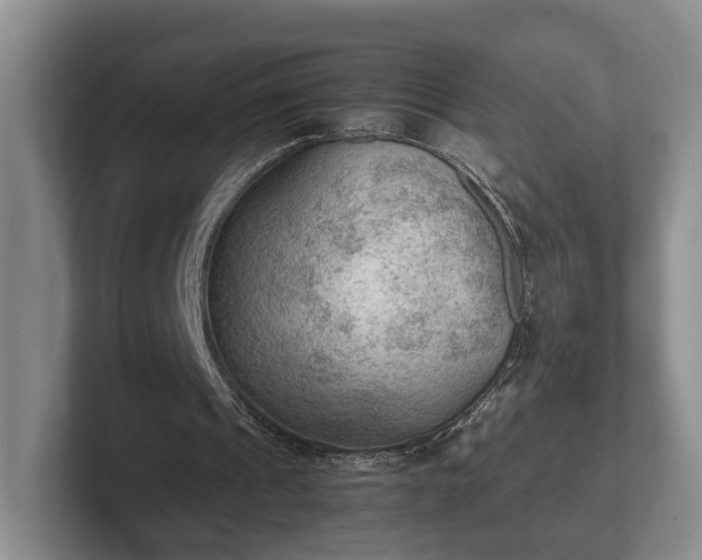 X0000102390241200808081233