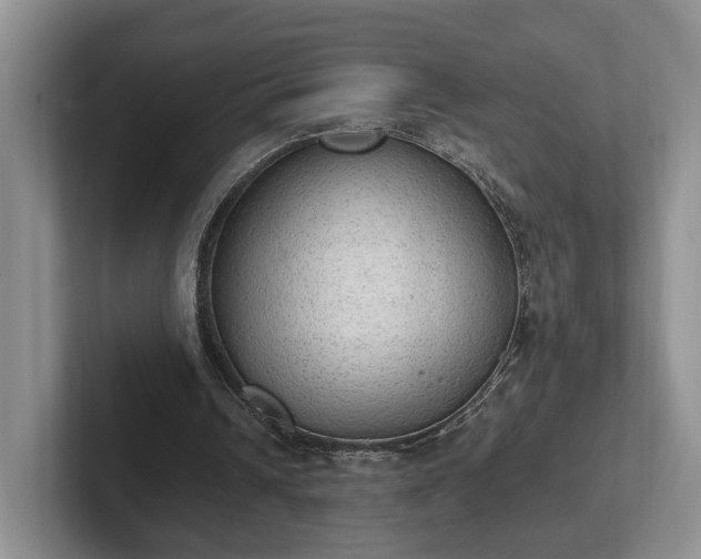 X0000102390242200808081233