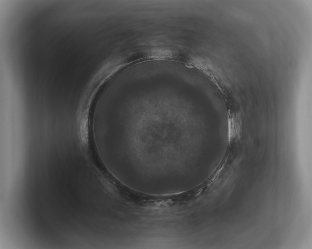 X0000102390243200808081233