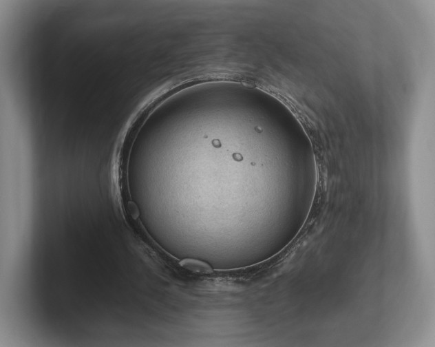 X0000102390244200808081233