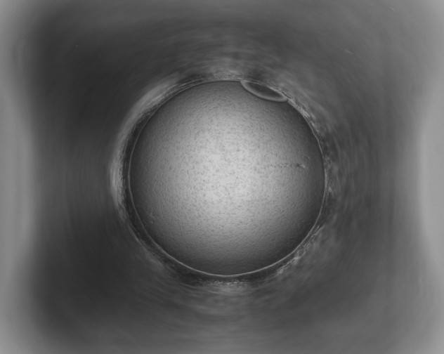 X0000102390245200808081233