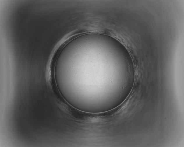 X0000102390246200808081233