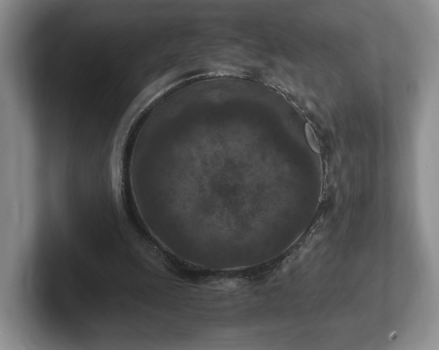 X0000102390247200808081233