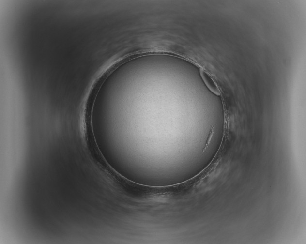 X0000102390248200808081233