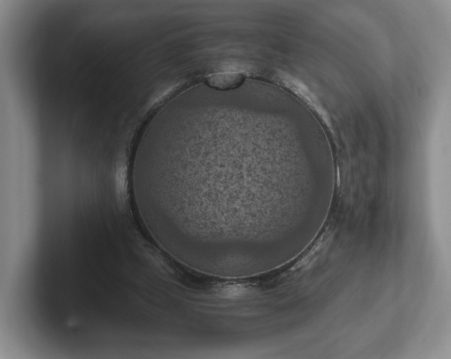 X0000102390249200808081233