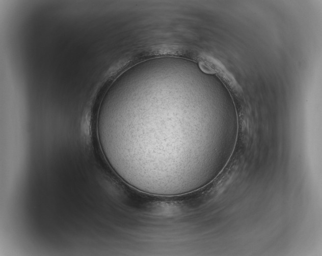 X0000102390250200808081233