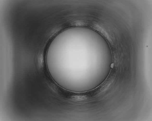 X0000102390251200808081233