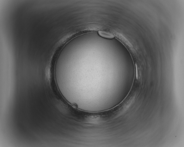 X0000102390252200808081233