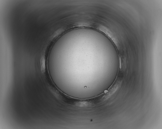 X0000102390253200808081233