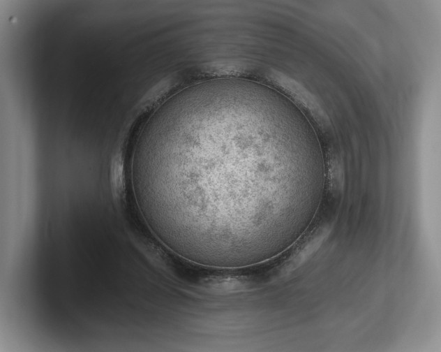 X0000102390254200808081233