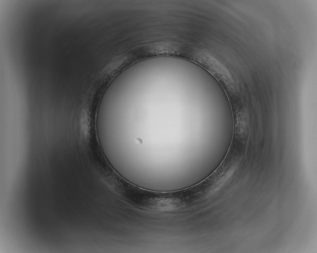 X0000102390255200808081233