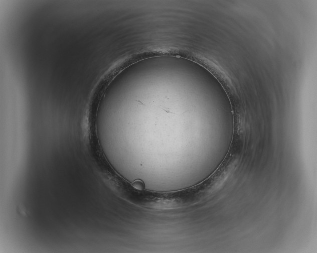 X0000102390256200808081233