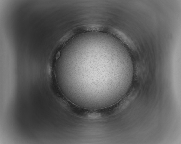 X0000102390258200808081233