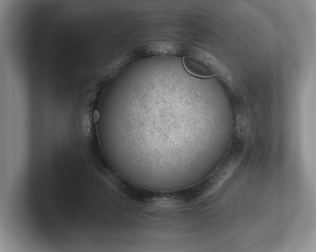 X0000102390259200808081233