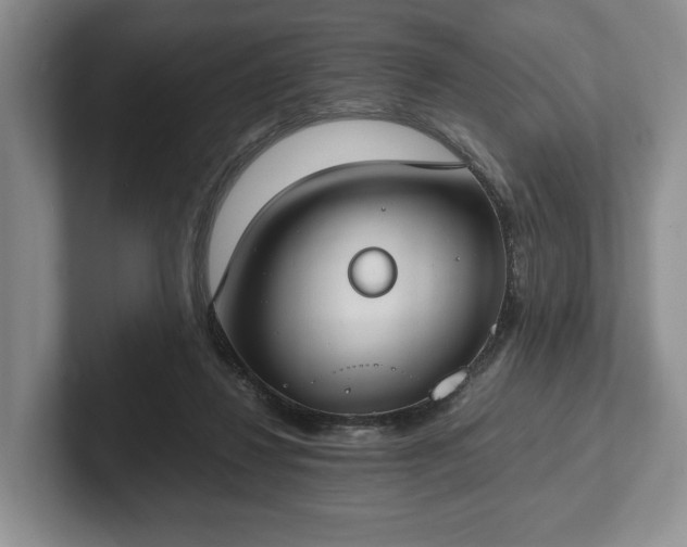 X0000102390260200808081233