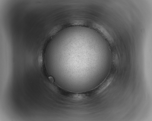 X0000102390261200808081233