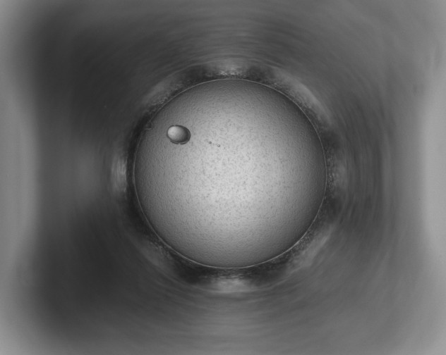 X0000102390262200808081233