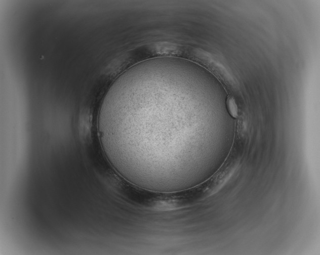 X0000102390263200808081233