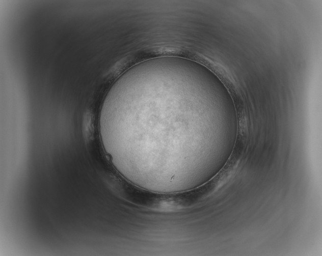 X0000102390264200808081233