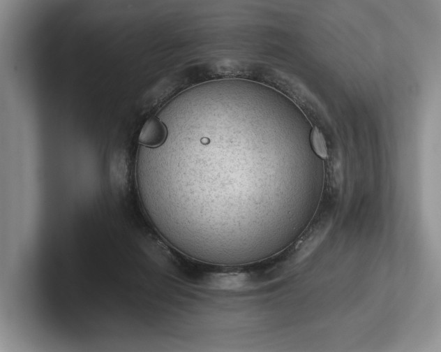 X0000102390266200808081233