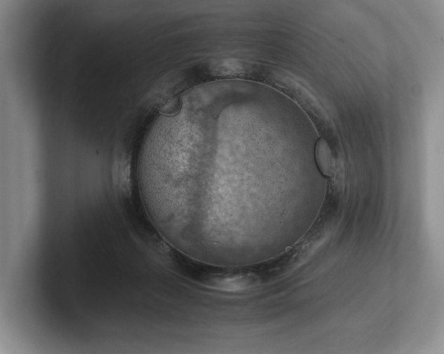 X0000102390267200808081233