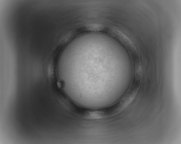 X0000102390268200808081233